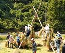 稲束を干していく西田ヨズクハデ保存会や「酒仙蔵人・五郎之会」のメンバー