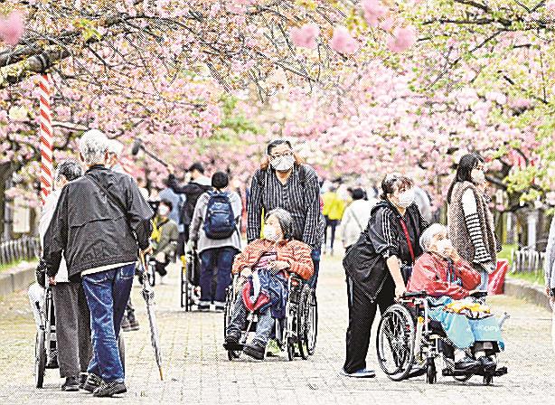 桜を楽しむお年寄りたち７５歳以上の公的医療保険料を引き上げる改正健康保険法などが成立した＝４月、大阪市