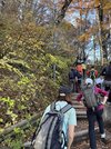 大山４合目付近