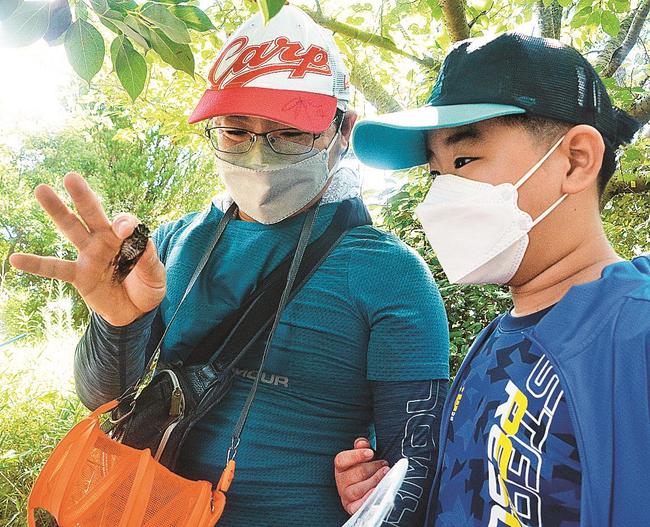 観察ゾーンでアブラゼミを捕獲する親子＝出雲市園町、宍道湖グリーンパーク