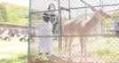 シカなど動物の見学と遊具が同時に楽しめる代官山動物園＝大田市大田町