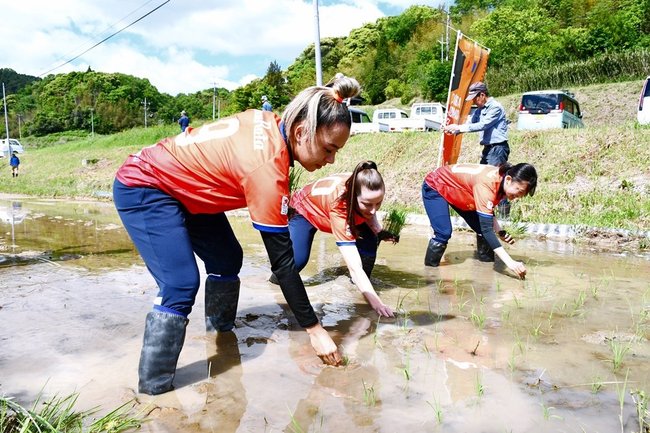 酒米の苗を丁寧に植えるディオッサ出雲ＦＣの選手たち＝出雲市野尻町
