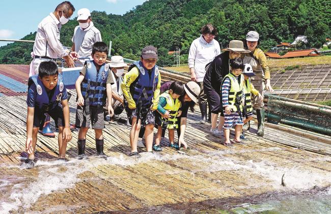 簗の上でアユを待ち構える参加者＝島根県美郷町都賀西、江の川