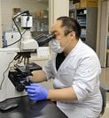 繁殖用にするメスの子牛が病気にかかっていないことを確かめるため血液採取する主任獣医師の荒川泰卓さん＝益田市白上町、佐々木牧場