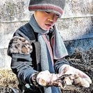 
          
サンインサンショウウオを観察する参加者＝鳥取県南部町内
        