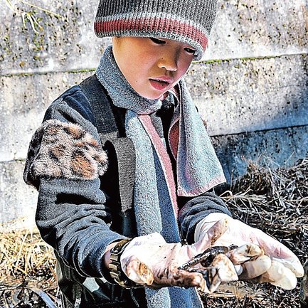 サンインサンショウウオを観察する参加者＝鳥取県南部町内