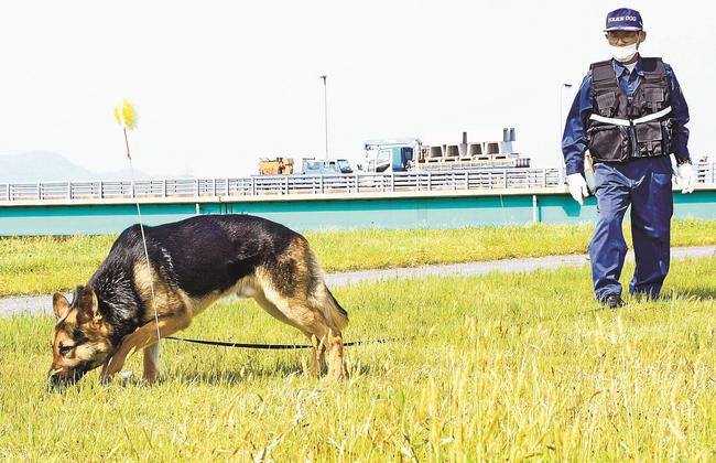 ４月にあった審査会で足跡をたどる警察犬と指導手