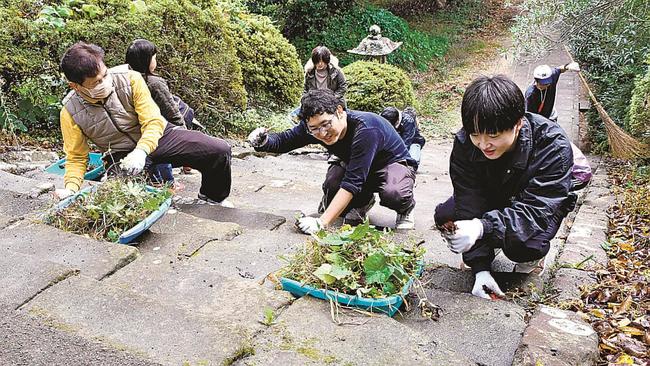一畑薬師の石段に生えた雑草を抜き、落ち葉を取る参加者＝出雲市小境町