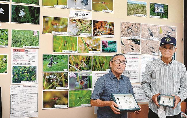 ハッチョウトンボやカワラハンミョウなど希少生物の展示をする吉崎佳慶さん（左）と三保富士夫さん＝益田市中吉田町、キヌヤ中吉田店