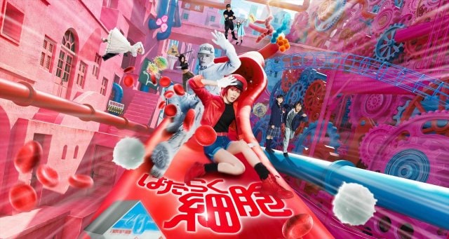 『はたらく細胞』(C)清水茜/講談社 (C)原田重光・初嘉屋一生・清水茜/講談社 (C)2024映画「はたらく細胞」製作委員会