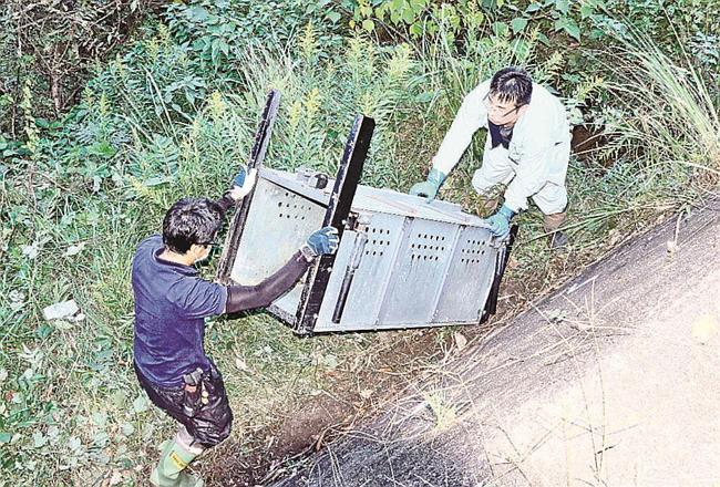男性がクマに襲われた現場付近でおりを設置する島根県と益田市の職員＝益田市久々茂町