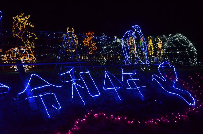 安来市の山あいで輝く幻想的なイルミネーション＝安来市伯太町横屋