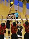 【男子・混合決勝】松江ウインズー安来レイダース
