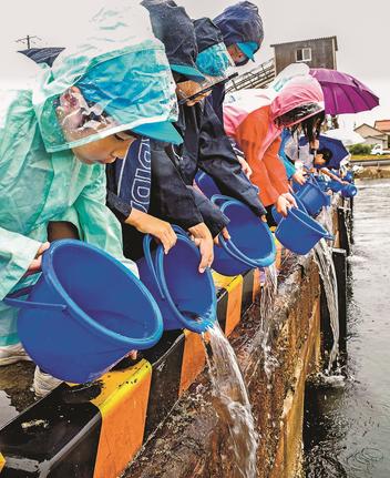 ヒラメの稚魚を放流する久手小の児童たち＝大田市久手町、久手港