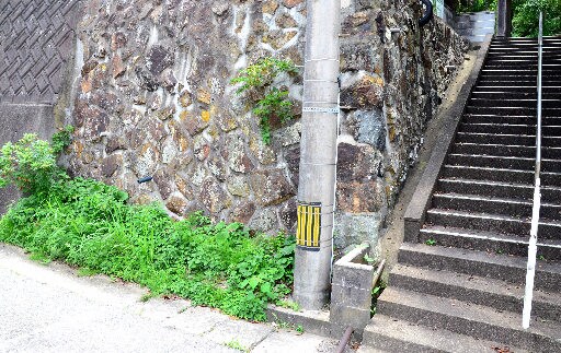 朝刊先読み 浜田市の中心部でクマ目撃 犬がほえ逃げる 山陰中央新報デジタル