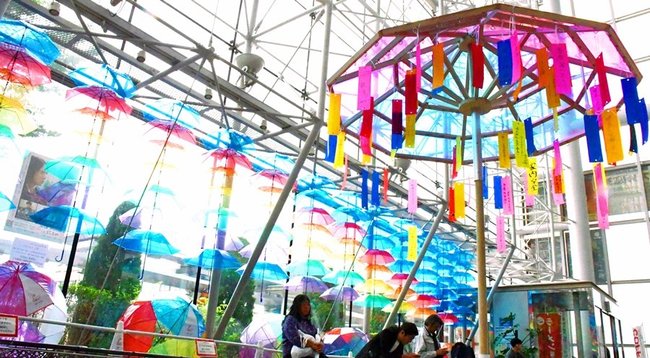 色とりどりの傘が彩る会場＝松江市朝日町、松江テルサ