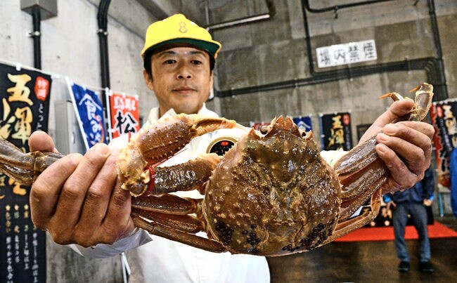 ２０１８年に２００万円で落札され、ギネス世界記録に認定された松葉ガニ（資料）