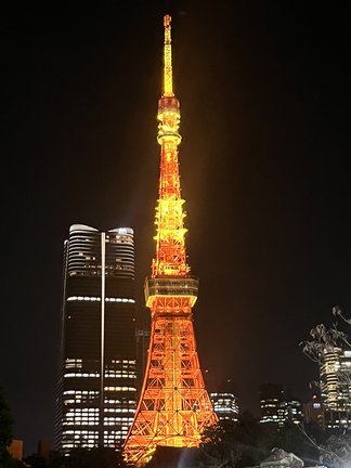 ライトアップされた東京タワー。その美しさに思わず撮影した
