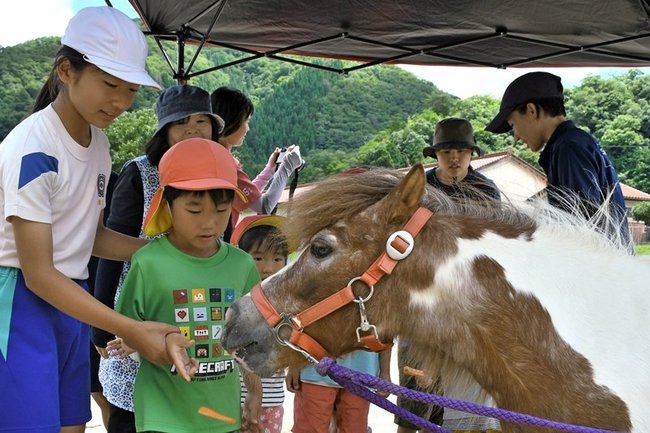ポニーとふれあう児童ら＝益田市匹見町匹見、市立匹見小中学校校庭