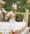 訪れた人を迎える、大量の狐像＝松江市殿町、城山稲荷神社
