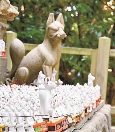 訪れた人を迎える、大量の狐像＝松江市殿町、城山稲荷神社