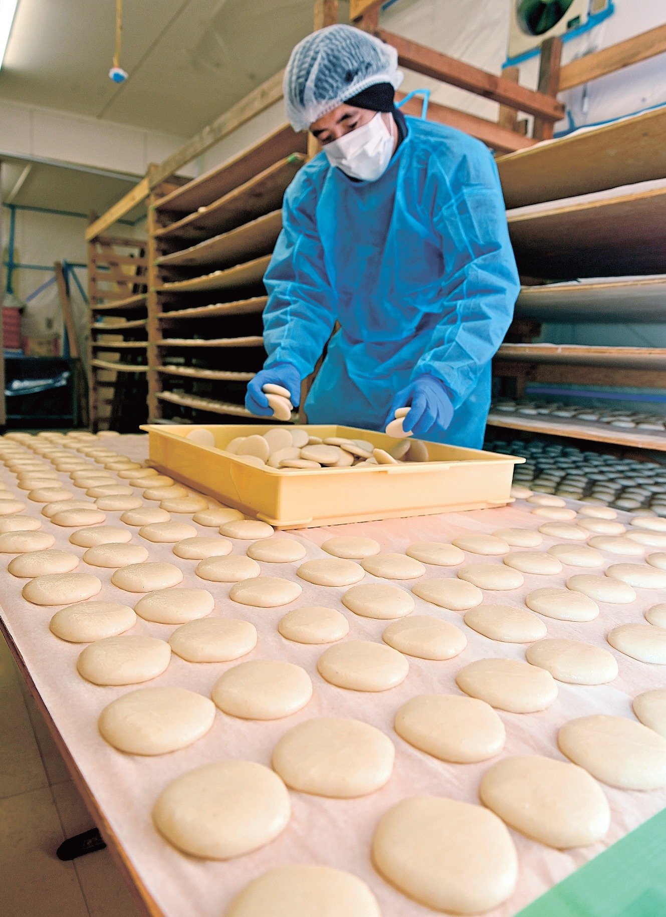 餅【プロフ確認】　0919 よくのびる平餅、味わって 安来・比田地区で作業始まる | 山陰中央新報