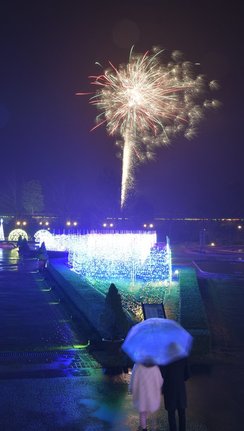 園内で打ち上げられる花火＝鳥取県南部町鶴田、とっとり花回廊