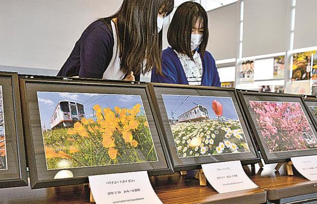 一畑電車の写真を見る来場者＝松江市岡本町、道の駅秋鹿なぎさ公園