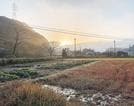 意宇川沿いから見る朝日