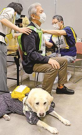 訓練で盲導犬を連れた接種希望者に注射する医師＝松江市学園南１丁目、くにびきメッセ