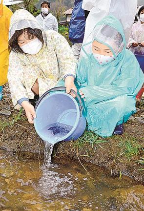 アユの稚魚を放流する児童＝出雲市佐田町一窪田