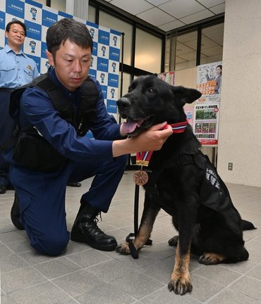 指導手の秦本誠巡査部長（手前）にメダルを掛けられるシャイン号＝松江市殿町、島根県警本部