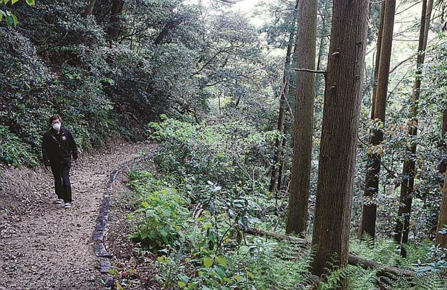 自然の音を感じられる遊歩道＝松江市美保関町美保関