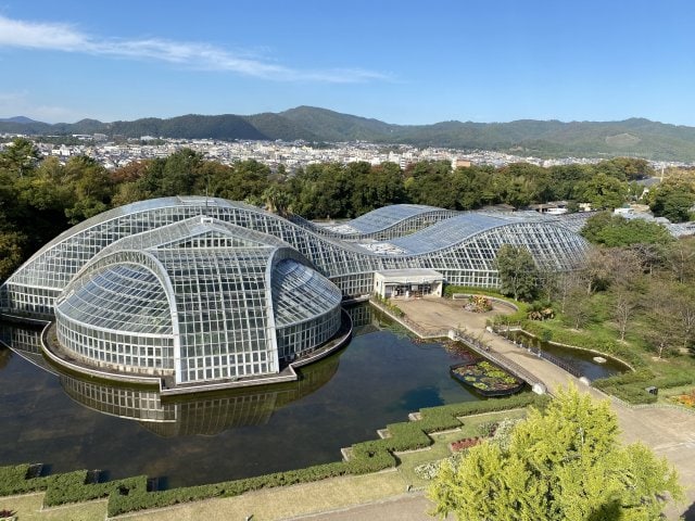 京都府立植物園=観覧温室上空(画像提供:京都府立植物園)