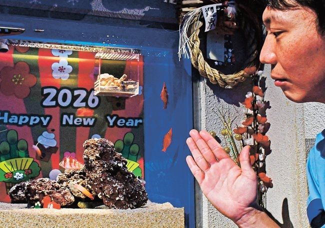 華やかな色や模様の魚などを紹介する担当者=浜田市・江津市、しまね海洋館アクアス