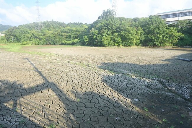 降雨前の柴池＝１日午後、松江市西川津町