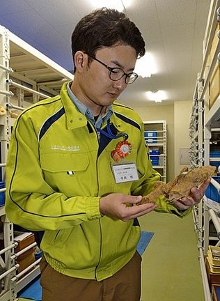 収集した甲殻類の巣穴の化石を手に持つ学芸員の今井悟さん＝島根県立三瓶自然館資料室