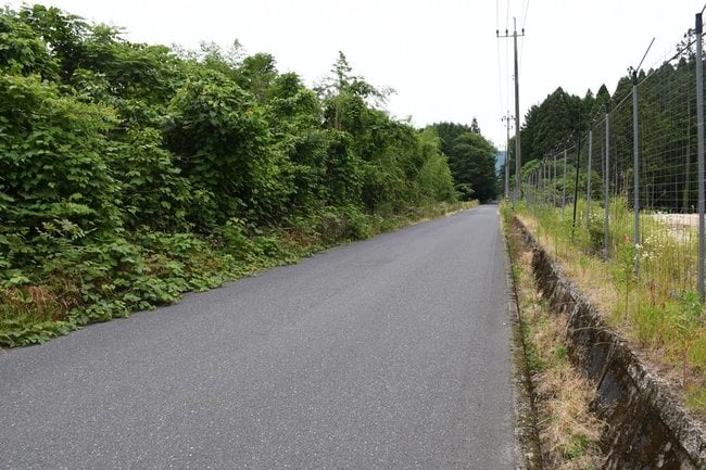 クマが目撃された町道=島根県邑南町中野、20日午後5時13分