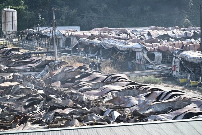 全焼した養豚場の建物＝８日午前１１時１８分、鳥取県南部町下中谷