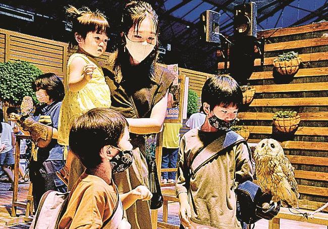 ショーの後にフクロウを腕に乗せる来園者＝松江市大垣町、松江フォーゲルパーク