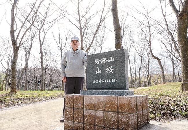 角清延さんと石碑。山桜は今月末ごろ咲き始める見込みという＝安来市日白町
