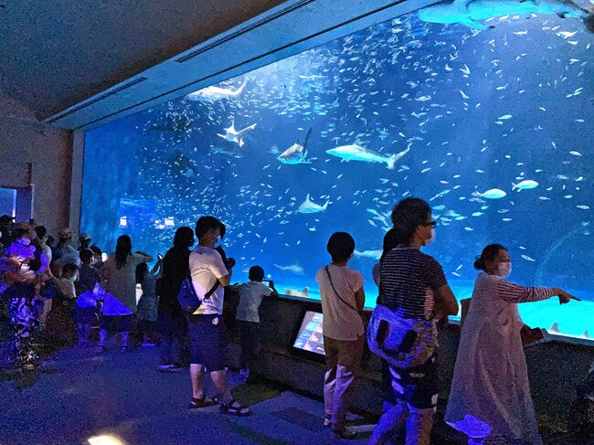 多くの観光客でにぎわう県立しまね海洋館アクアス＝浜田市・江津市