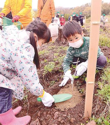 苗木を植える子どもたち＝大田市三瓶町