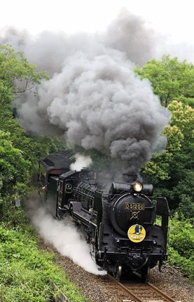 「SLやまぐち号」けん引を担当するD51型蒸気機関車=山口市