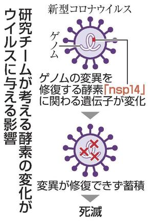 研究チームが考える酵素の変化がウイルスに与える影響