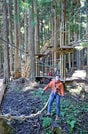 立ち木を活用し、ワイヤを伝って滑り降りるジップライン＝雲南市吉田町吉田