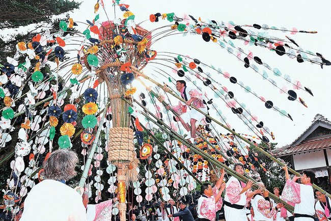 竹に乗って、神事華の頂点に上る男衆＝出雲市湖陵町差海、佐志武神社