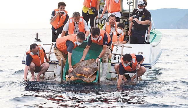 日本海へリブを放流する関係者＝島根県隠岐の島町沖