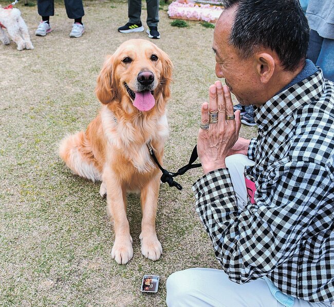 飼い主の「待て」の指示で餌を我慢する犬＝浜田市三隅町折居、道の駅ゆうひパーク三隅