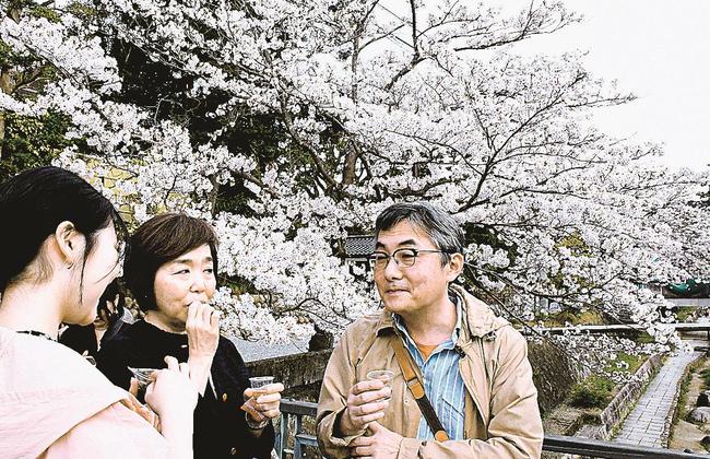 日本酒と満開の桜を楽しむ来場者＝松江市玉湯町玉造